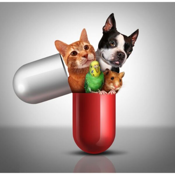 Doggies Superior performance
