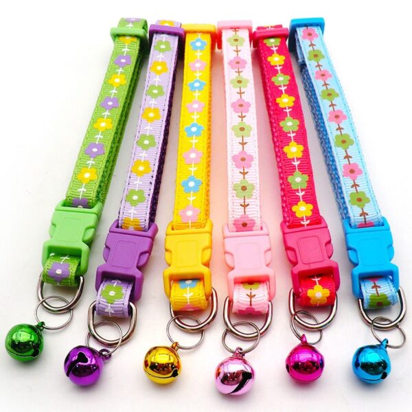 P/P  Belt 1″