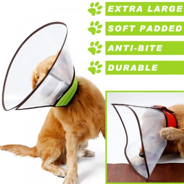 Dog E -collar Xlarge Size