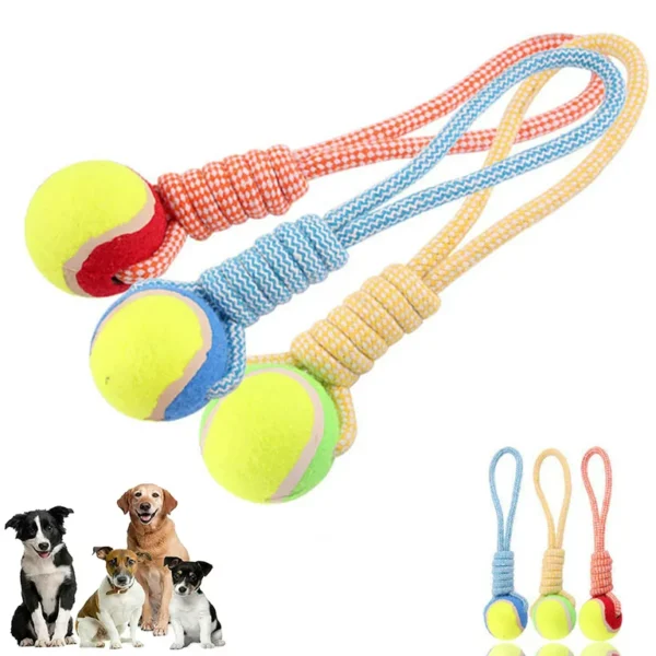 Toy