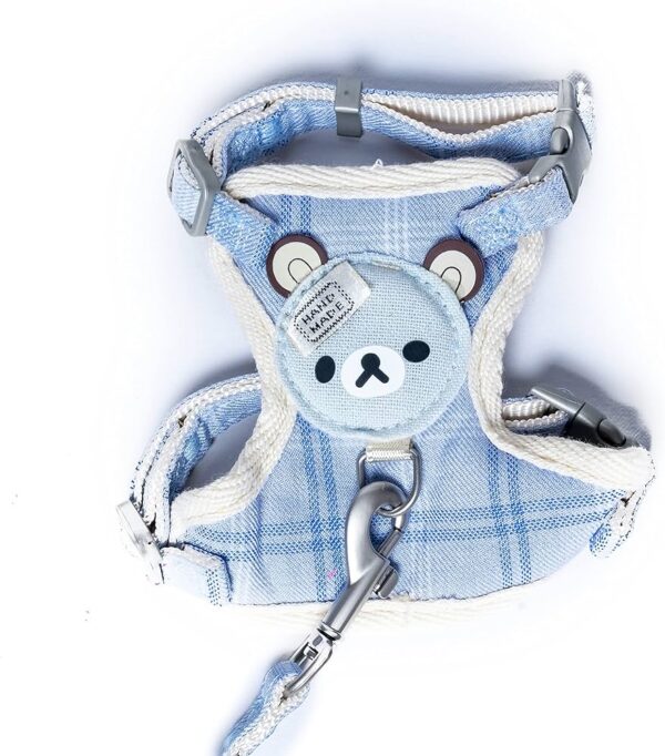 40 Full Body Belt