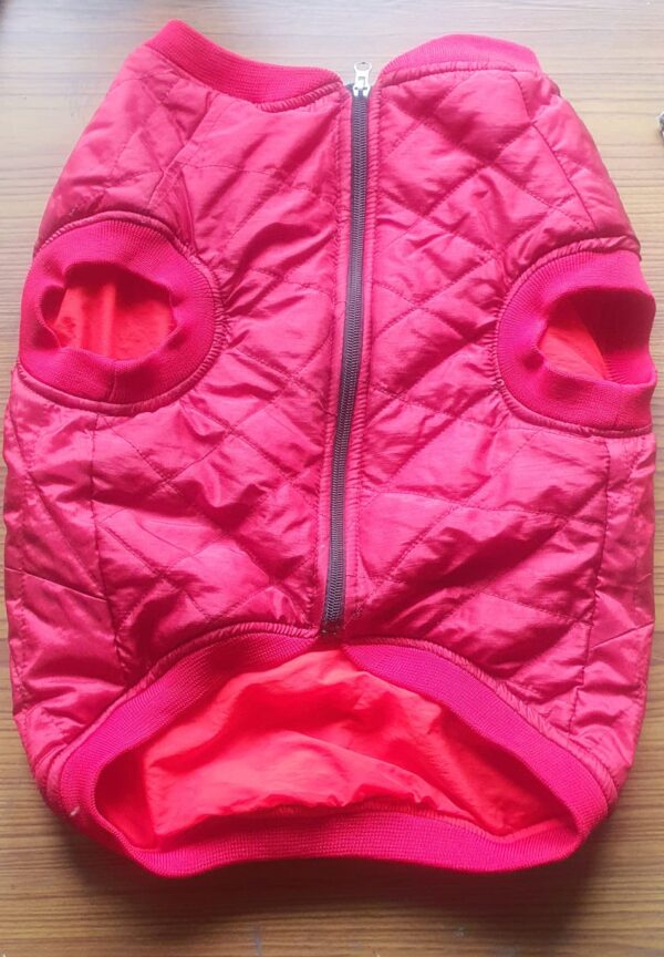 Red Jacket 20″